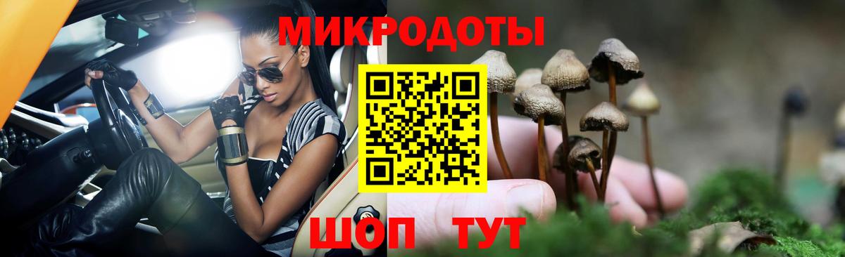 Галлюциногенные грибы Psilocybine cubensis Кызыл
